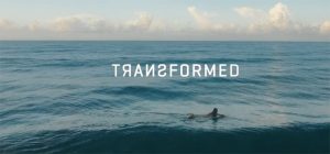 Transformed