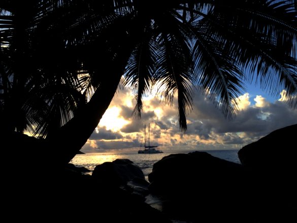 IMG_2554 copy Paradise Islands