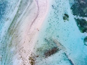 Microplastics