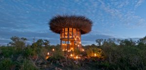 Wildlife safari