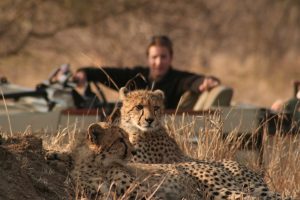 Wildlife safari