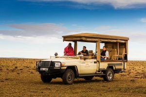 Wildlife safari