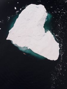 Lewis Pugh Antarctica
