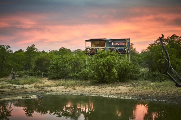 Motswari Private Game Reserve_Giraffes Nest (12)