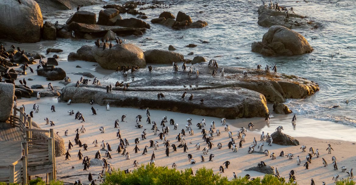 Luxury at your leisure