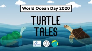 World Ocean day 2020