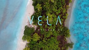 Vela