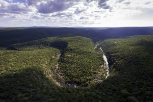 Fly-fishing Tintswalo