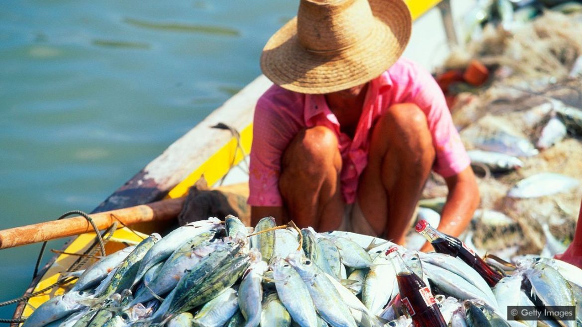 The Deal that saved the Seychelles