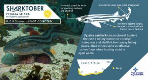 We Care: Sharktober
