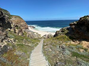 WESTERN CAPE