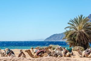 cheapest holidays