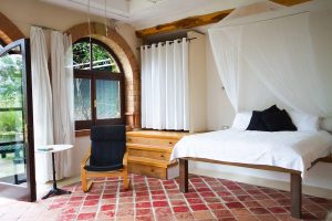 Vineyard stay Italy