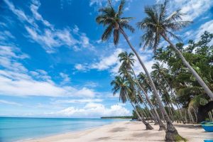 25 best beaches
