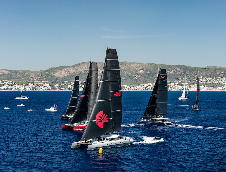 Multihull fleet