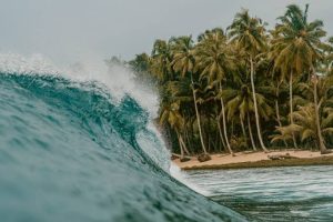 surfing Indonesia