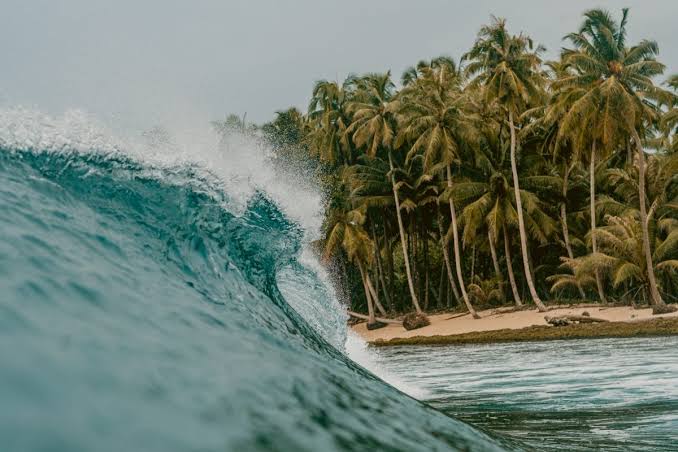 surfing Indonesia
